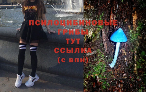 трава Балабаново
