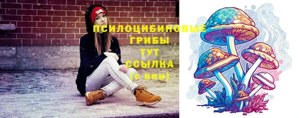 амф Балахна