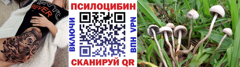 продажа наркотиков  Шадринск  Галлюциногенные грибы MAGIC MUSHROOMS 